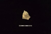 藏品(陶片)的圖片